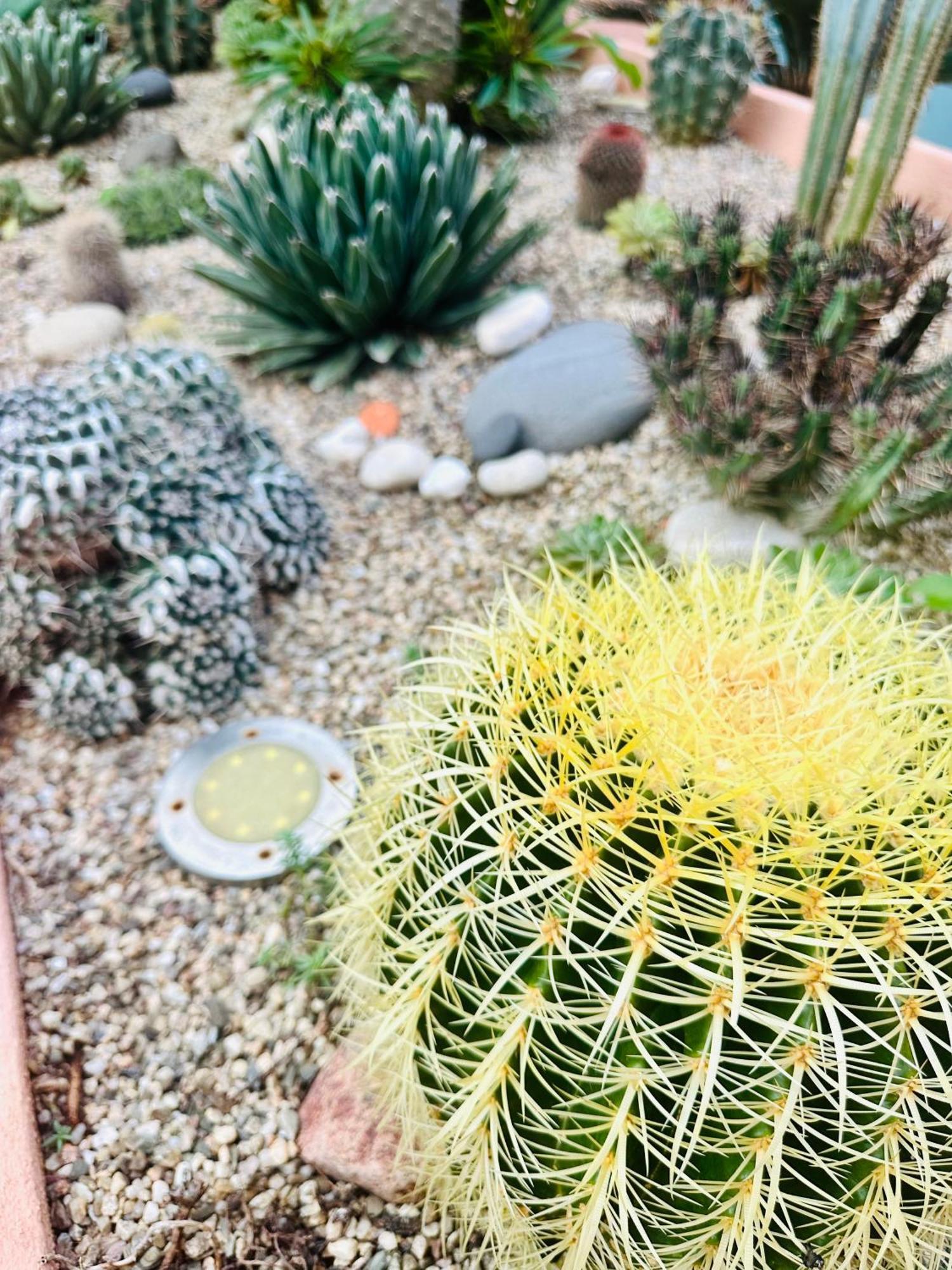 Il Giardino Davanti Al Mare Orosei Eksteriør billede